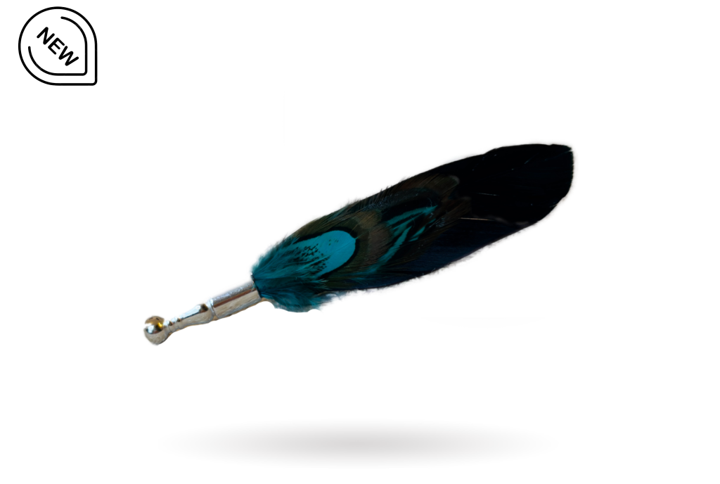 feather with a silver clip for hats