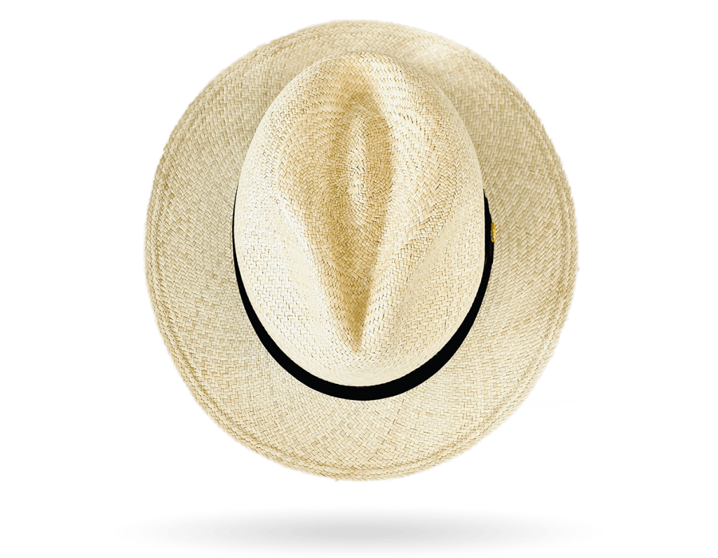 fedora shape panama hat